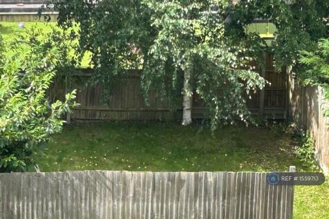Private Section Of Garden 
