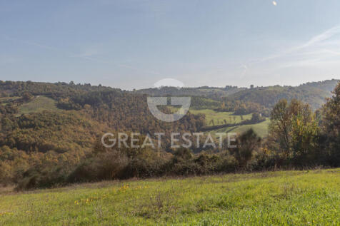 Panorama e Particolari