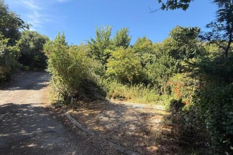 Front Lane
