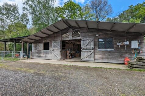 Large American Barn with foaling boxes