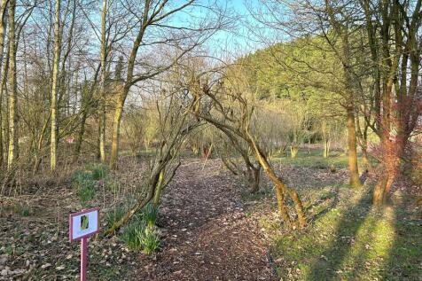 WOODLAND COPPICE