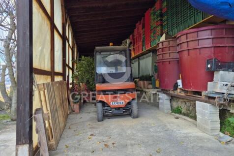 Panorama e Particolari