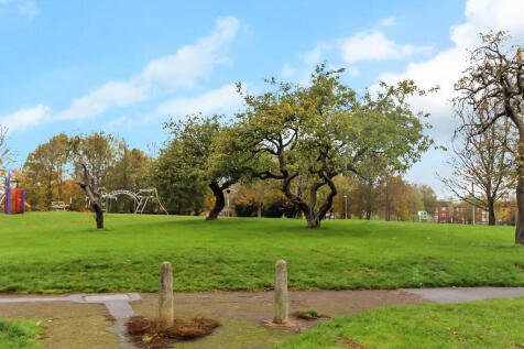 Amenity Space