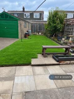 Grass Colour (Ai Generated)
