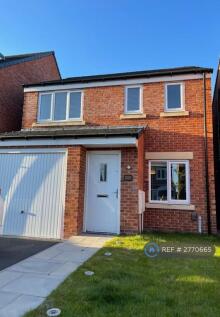 Driveway And Garage