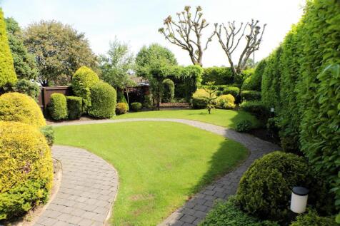 rear garden.JPG