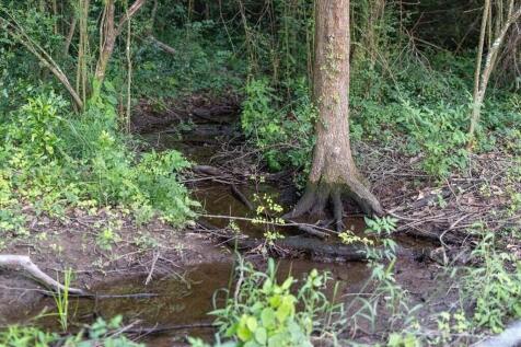 Property Image 65