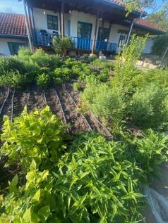 Irrigation system