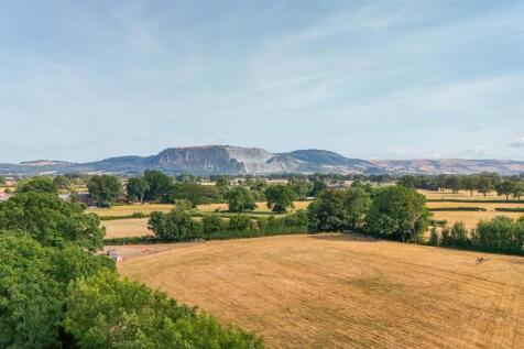 1497290(2).jpg