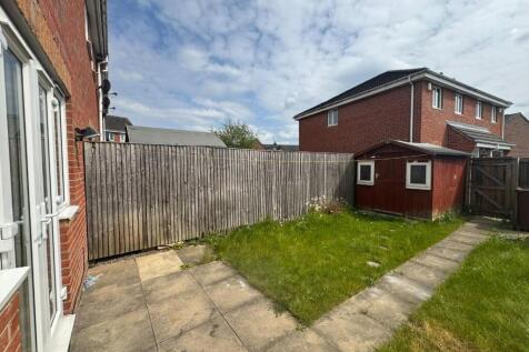 IMG_7133.JPEG
