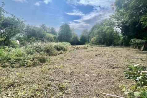 new garden image 2.jpg