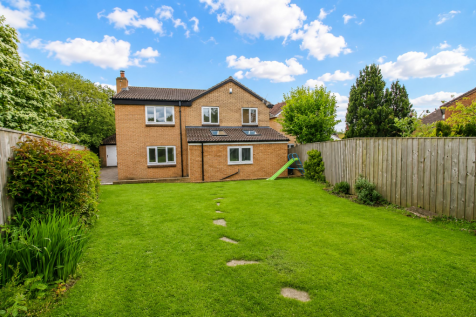 Property Image 44