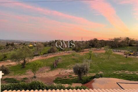 Outdoor1