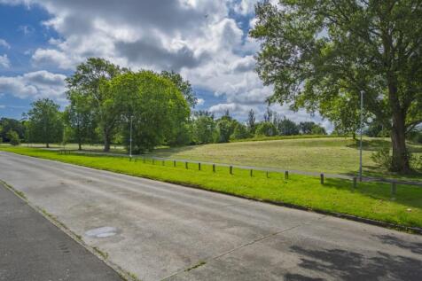 DSC_6793-Edit