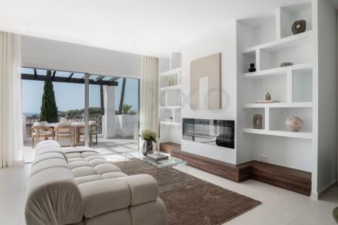 Palmera-5