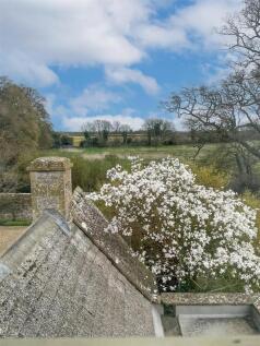 223e700d-13b9-4734-8680-2078dd78ba45 copy.jpg