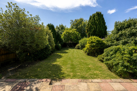 garden 2.png