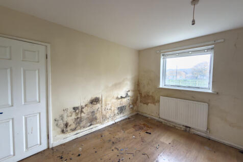 IMG 7448 T202511081225.jpg