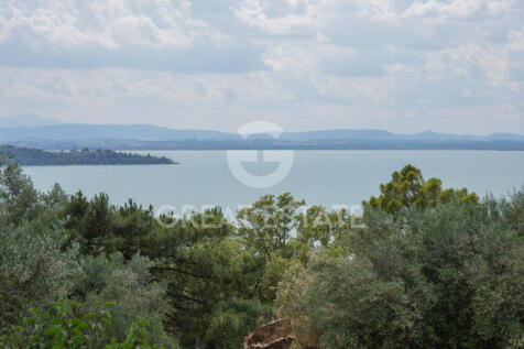 Panorama e Particolari