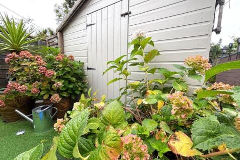 Shed/ Rear Garden