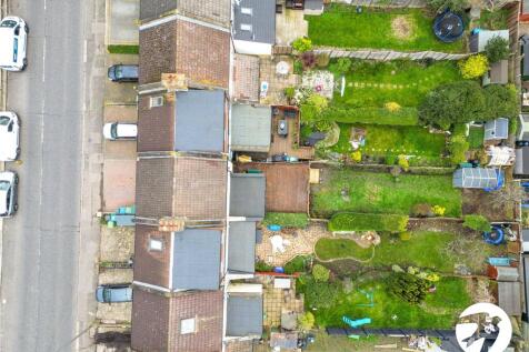 Birds Eye