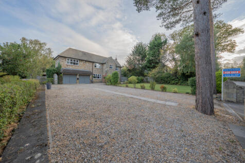 Property Image 46