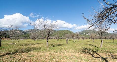 NEWLY BUILT MODERN VILLA IN UNIQUE LOCATION OF SELVA 