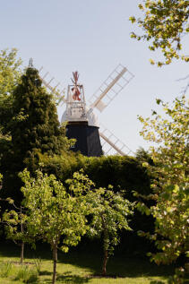 342271 - Windmill Cottage, Swaffham Prior-16.jpg