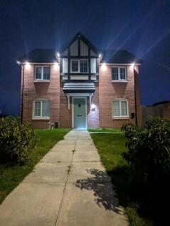 Thomas cres dark.jpg