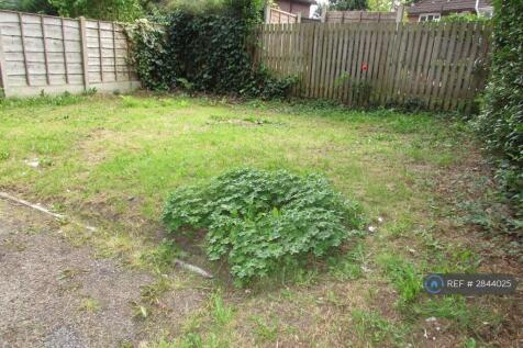 Back Garden