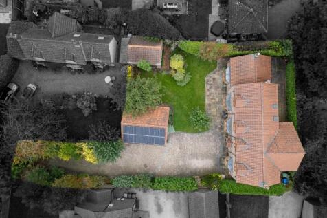 Birds eye