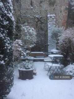 Garden With Snow