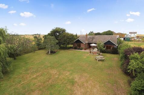 Back Garden