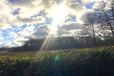 Photo 30-01-2024, 11 45 50.jpg