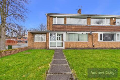  (Main)