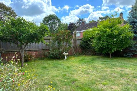 Rear Garden Summer.jpeg