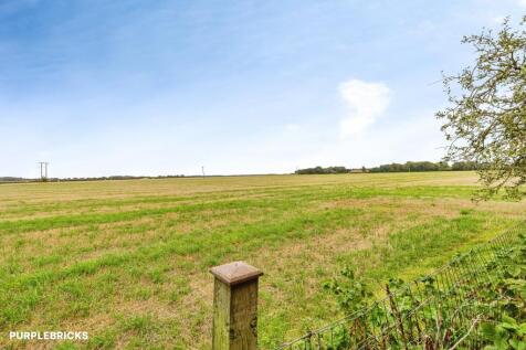 Field