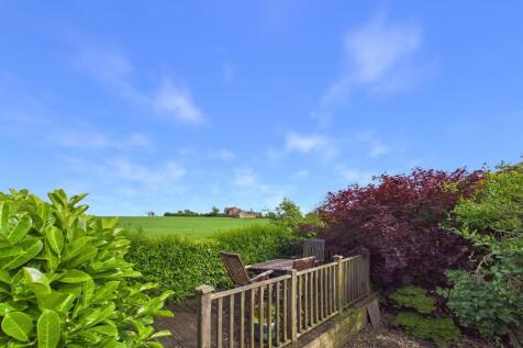 Garden And View