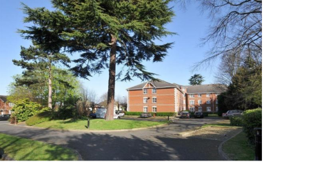 Property Image 8