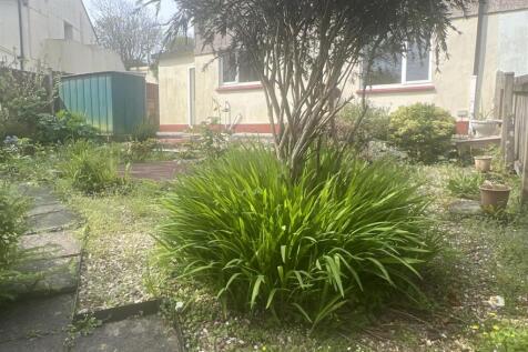 Back Garden