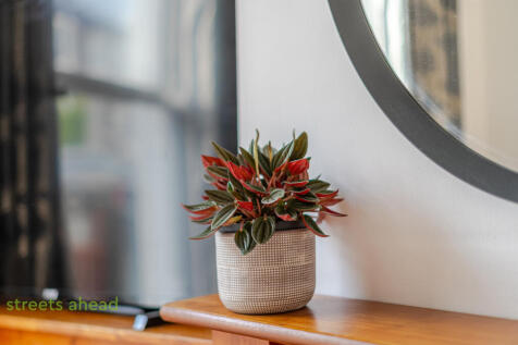 16bd2ffc-f226-4d0...