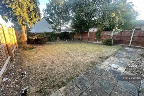 Back Garden