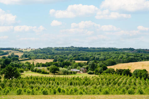 The Granary, Wood...
