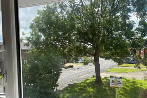 VIEW 1