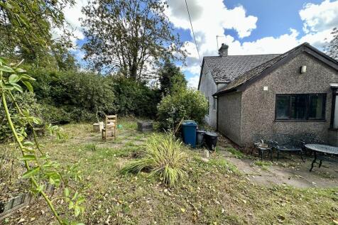 IMG 3442 T202509021622.jpeg