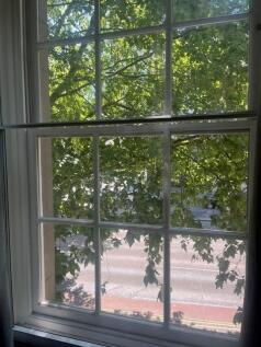 window.jpg