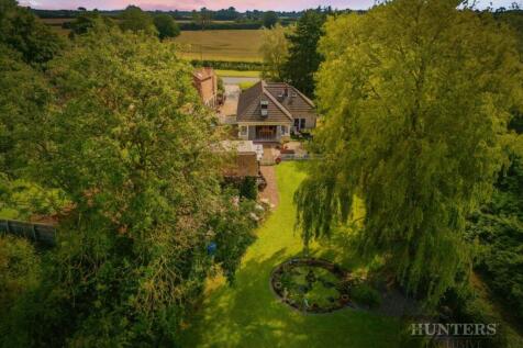 Untitled design (26).jpg