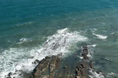 Image 15