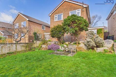 Spacious South Facing Garden with fruit trees