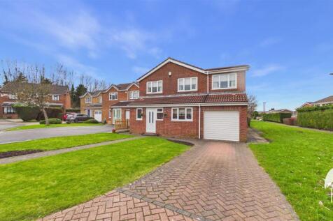Property Image 37